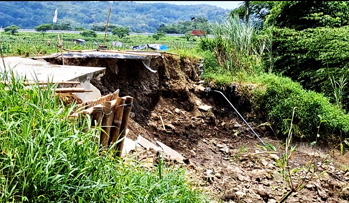 Jalan Rabat Beton di Kertomulyo Ambrol, Warga Resah Hingga Kini Belum Ada Perbaikan