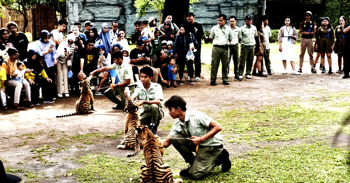 Dari Edukasi hingga Hiburan – Funtasy Safari Meriahkan Liburan Sekolah Tak Terlupakan Bersama Keluarga